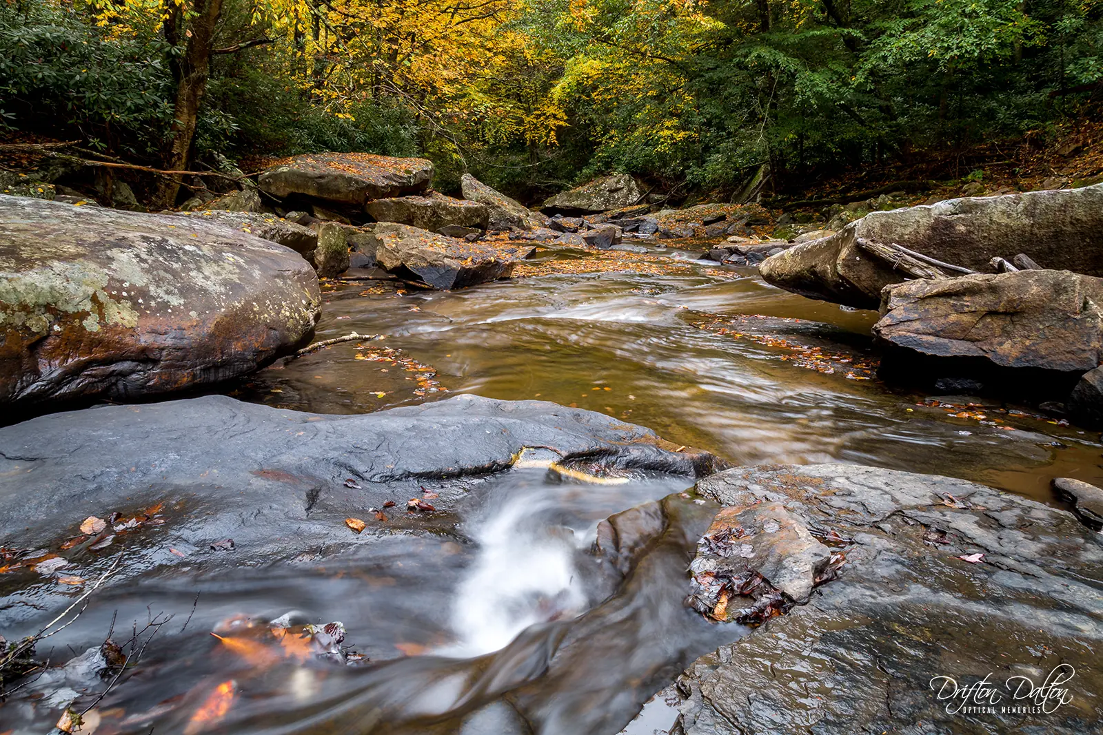 Downstream view of a rocky woodland creek beneath autumn trees at Babcock State Park