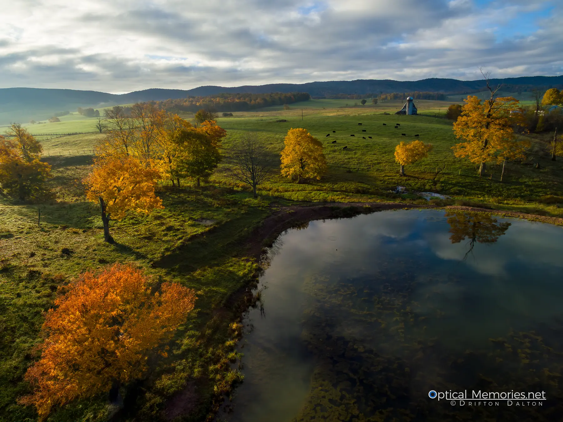 Golden autumn trees and farmland reflected in a pond in Burke's Garden