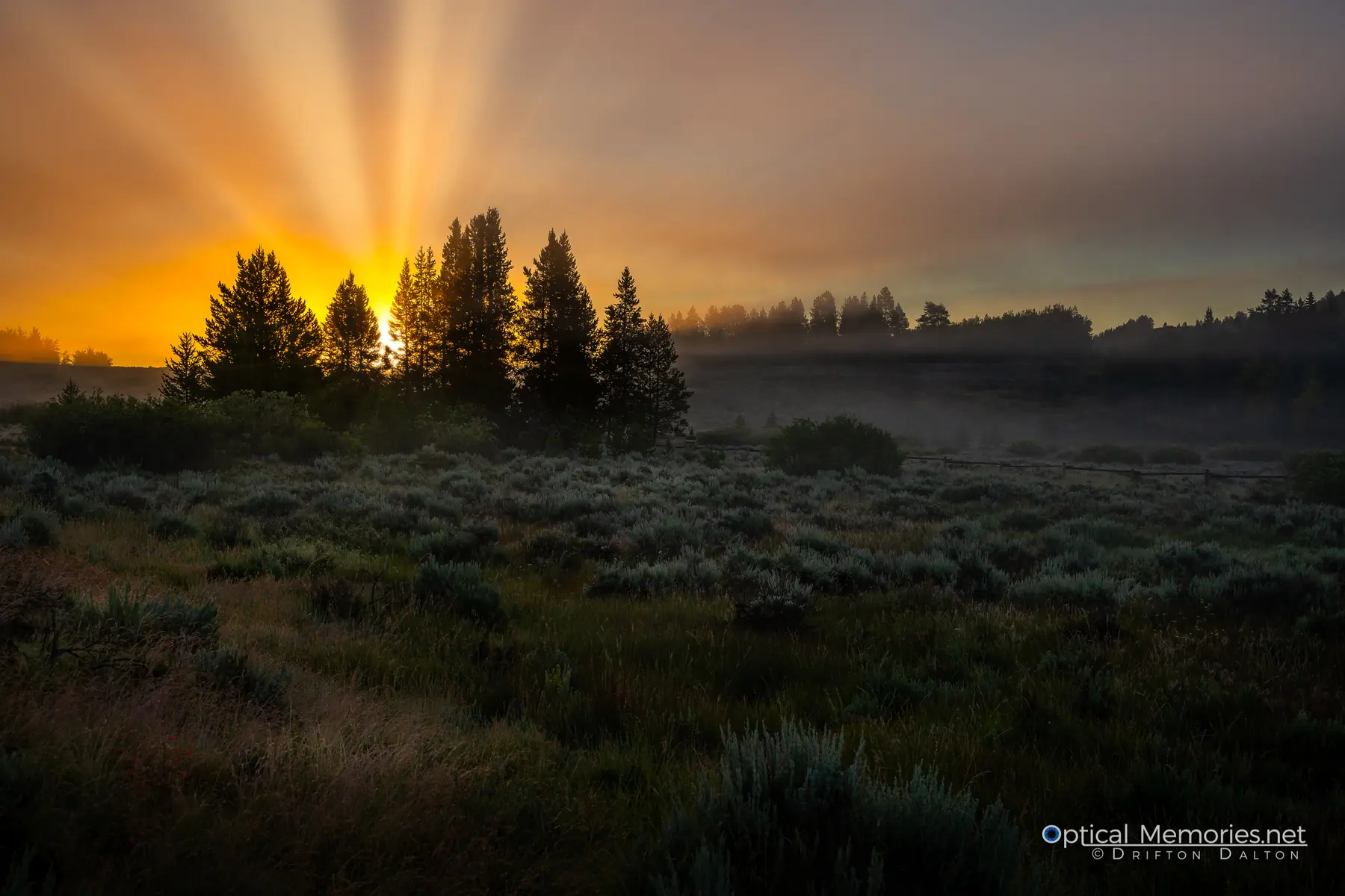 Low morning fog catching strong sunbeams above trees near Moran, Wyoming